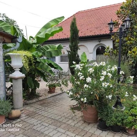 Lavendel Apartman Harkány Kültér fotó